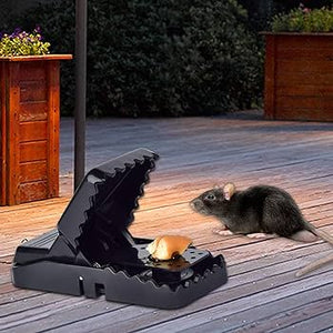 2 Pack – Reusable Mouse & Rat Catcher